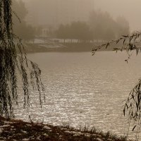 городской осенний пруд :: Александр Прокудин