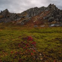 Осень на Кекурском :: Владимир Колесников