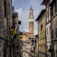 narrow streets of Siena :: Dmitry Ozersky