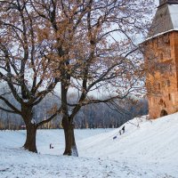 Еще не зима :: Евгений Никифоров