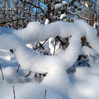 Снежные змеи :: Андрей Заломленков