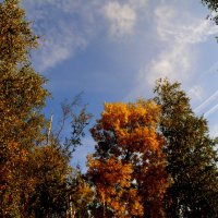 Наслаждаясь красотой осеннего неба :: Андрей Головкин