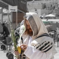 Jerusalem - sukkot :: Павел L