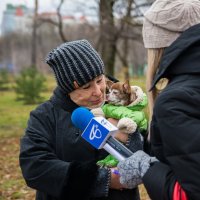 «Россия без жестокости» :: Petrovich 