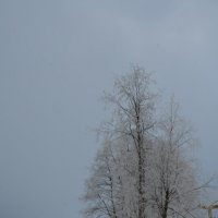 туман :: Вадим Бурмистров