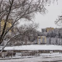Зимний парк :: Elena Ignatova