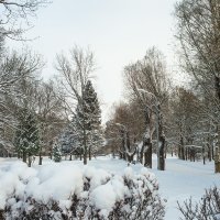 Снежный ноябрь 2 :: Виталий 