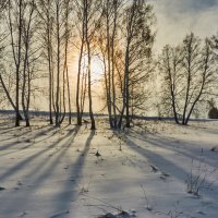 Зимнее солнце :: Николай Мальцев