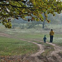 On walk in the wood :: Виктор 