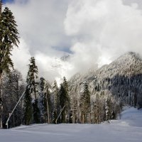 В горах :: Виолетта 