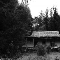 дом в лесу... :: Anahit Vardanyan