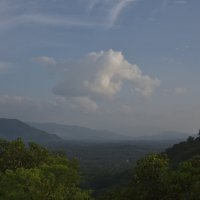 Леса около храма в Дамбулле. Шри Ланка. The forests around the temple in Dambulla. Sri Lanka :: Юрий Воронов