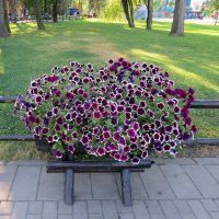 В парке :: Вера Щукина