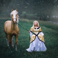 Золотой конь :: Екатерина Кареткина
