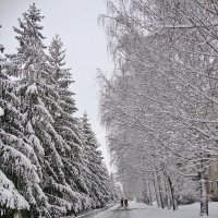 Снежно и вьюжит 2 :: Лидия (naum.lidiya)