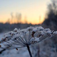 Зимние зарисовки.  У Северодвинска. :: Михаил Поскотинов