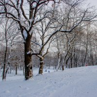 В парке :: dmitriy-vdv 