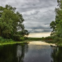 В протоке Мирошник. :: Павел Тодоров