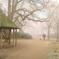 Прогулка в туманном парке :: элина 