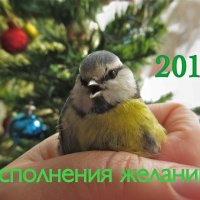 С НОВЫМ ГОДОМ! :: НАТАЛЬЯ 