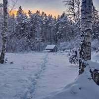 МОРОЗНЫЙ ВЕЧЕРОК. :: Виталий Половинко