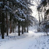 Начало зимы :: Милешкин Владимир Алексеевич 