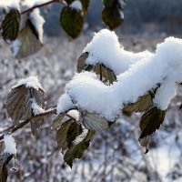 Творчество природы :: Милешкин Владимир Алексеевич 