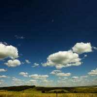 Тени от облаков на поле :: Оксана Сергеева