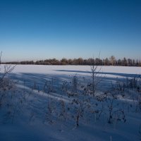 Зима в Самаре :: Николай Картаев