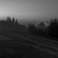 Вечер, туман :: Владимир Бессолицын