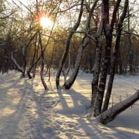 Мороз и солнце, день чудесный! :: Андрей Лукьянов