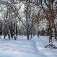 Зима в парке :: Вячеслав Баширов