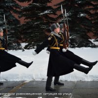 *** :: Татьяна Помогалова