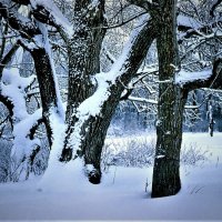 В зимнем парке села Никольское :: Валерий Талашов