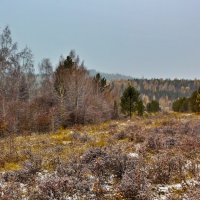 Пасмурная поздняя осень :: Анатолий Иргл