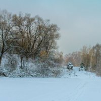 Зимний лес :: Руслан Комаров