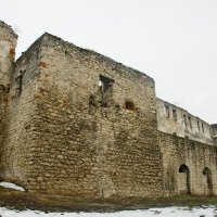 Чортковский замок. :: Николай Сидаш