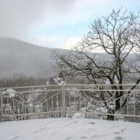 Снег идет.. :: Ирина Лядова