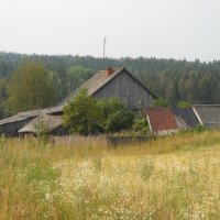 В деревне :: Александр Попков