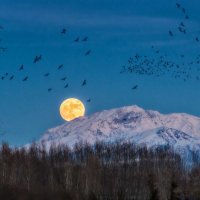 Осень :: Вадим Сухотский