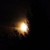 Лунная ночь :: Андрей Кротов