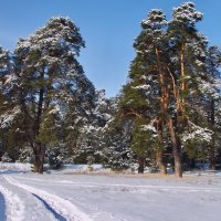 Вновь дорога чудом ожиданья... :: Лесо-Вед (Баранов)