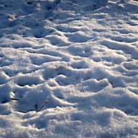 снег искрится на морозе :: Елена Семигина