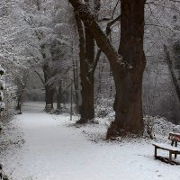 В зимнем парке тишина смеется И деревья тихие стоят . :: Юрий. Шмаков