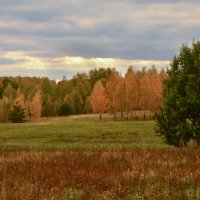 Про рыжую осень :: Лариса Березуцкая