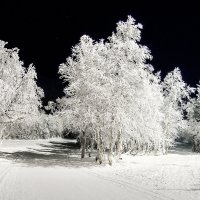 Зима :: Александр Неустроев