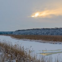 Снег над лесом. :: Владимир M