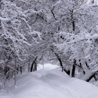 Зима, тропинка :: Сергей Беляев