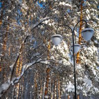Тропинка в зимнем парке :: Сергей Тагиров