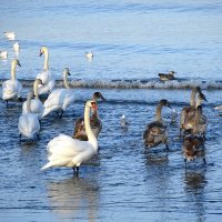 Уходящие в море, но обещающие вернуться :: Маргарита Батырева